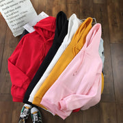 Cozy Long Sleeve Hooded Sweater for Women