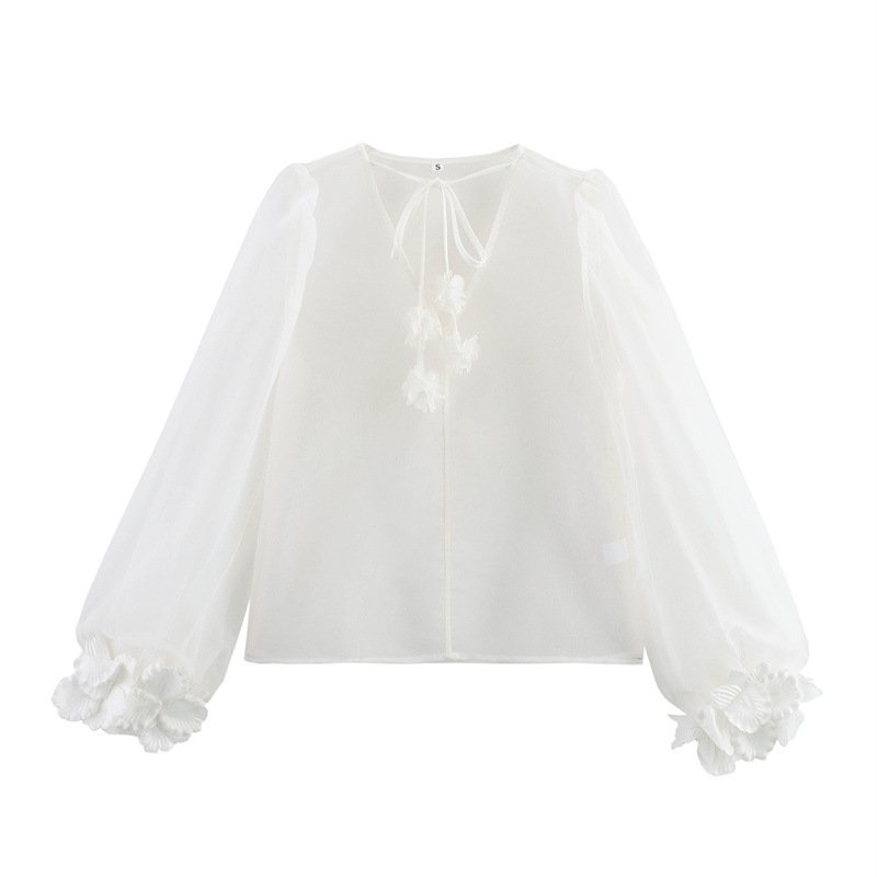V-Neck Floral Puff Sleeve Sheer Blouse