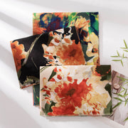 Elegant Scarf for Women