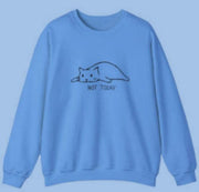 Cozy Sky Blue Pullover Sweater for Women