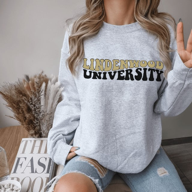 Cozy Letter Print Pullover Streetwear Hoodie