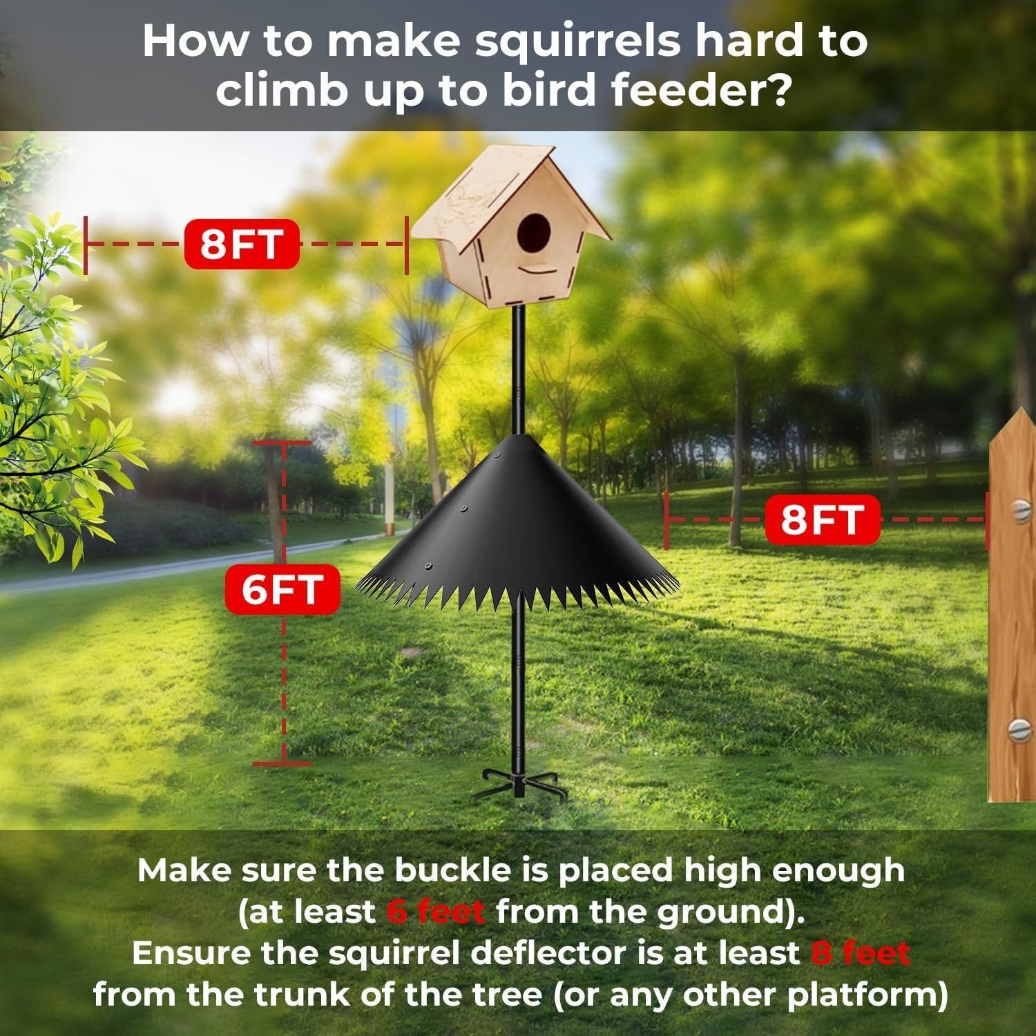 Protect Your Yard with Squirrel-Proof Bird Feeder