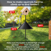 Protect Your Yard with Squirrel-Proof Bird Feeder