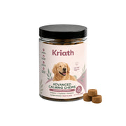 Support Your Pet's Health with Wholesome Chewables