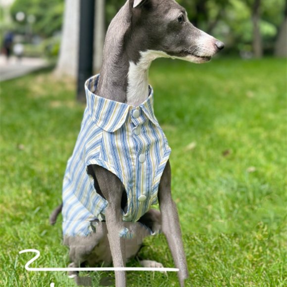 Ultra-Comfortable Cotton Sleeveless Dog Shirt
