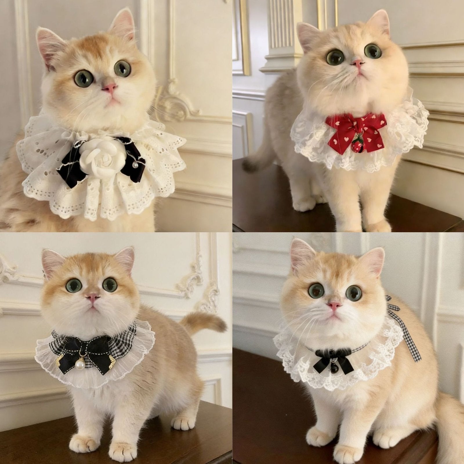 Fairy Cat Drool Bib with Cute Bow-Knot Design
