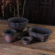 Add a Touch of Elegance with Our Breathable Ceramic Planters