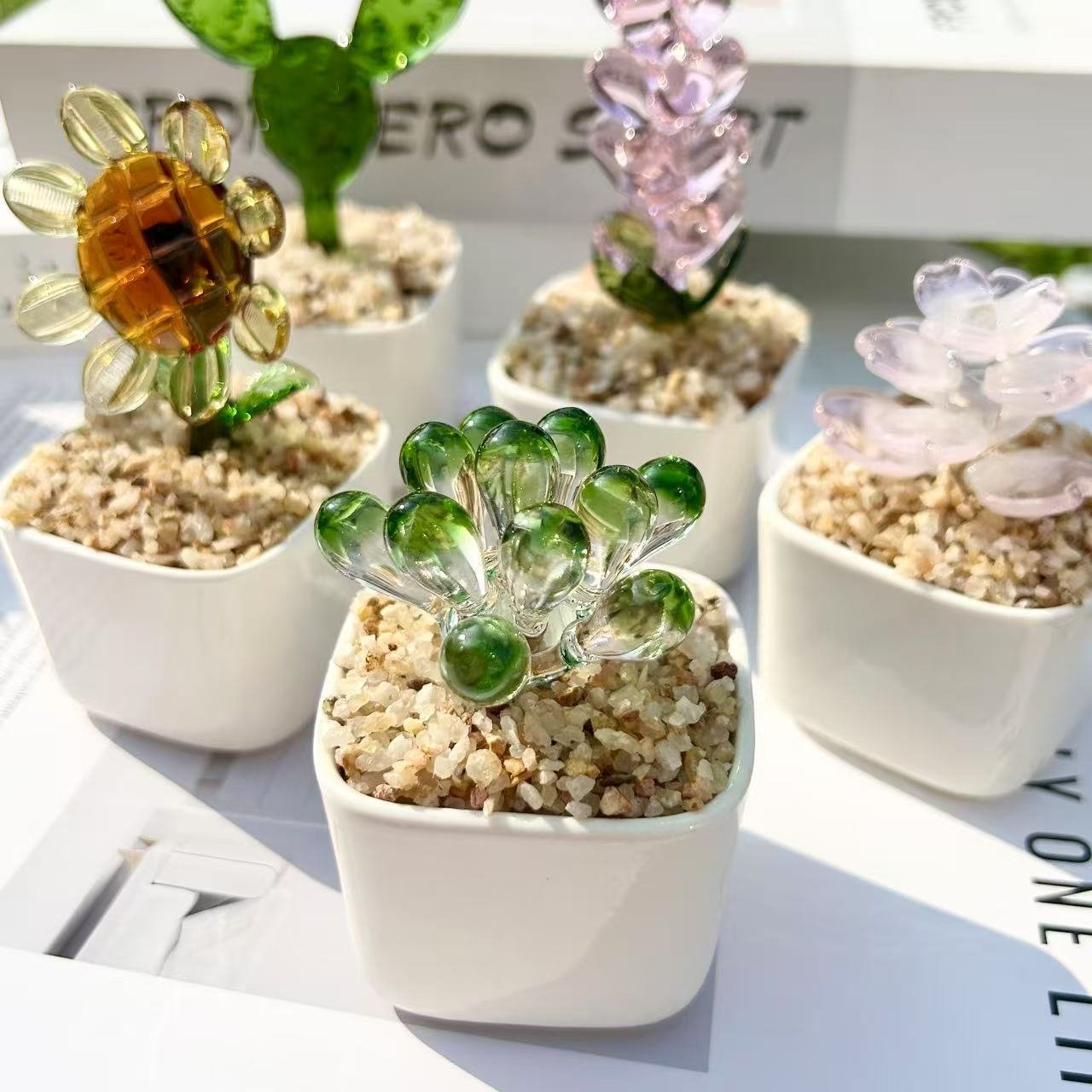Elegant Glass Succulent Desk Decoration