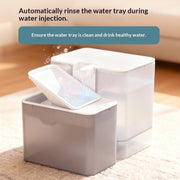 Clean Water Fountain