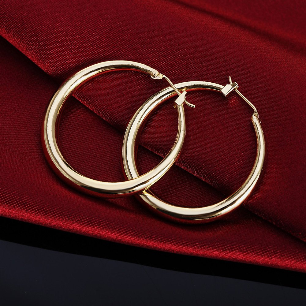 Shine with Smooth Earrings