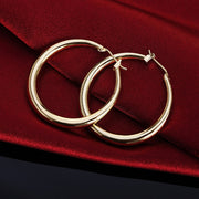 Shine with Smooth Earrings