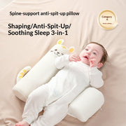 Sleep Safe Pillow
