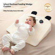Sloped Pillow for Newborns