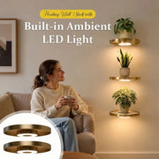 Boost Your Space with Modern LED Plant Stand