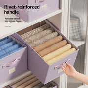 Maximize Home Storage with Large Capacity Organizer