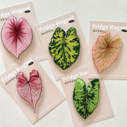 Tropical Plant Decor Refrigerator Magnets