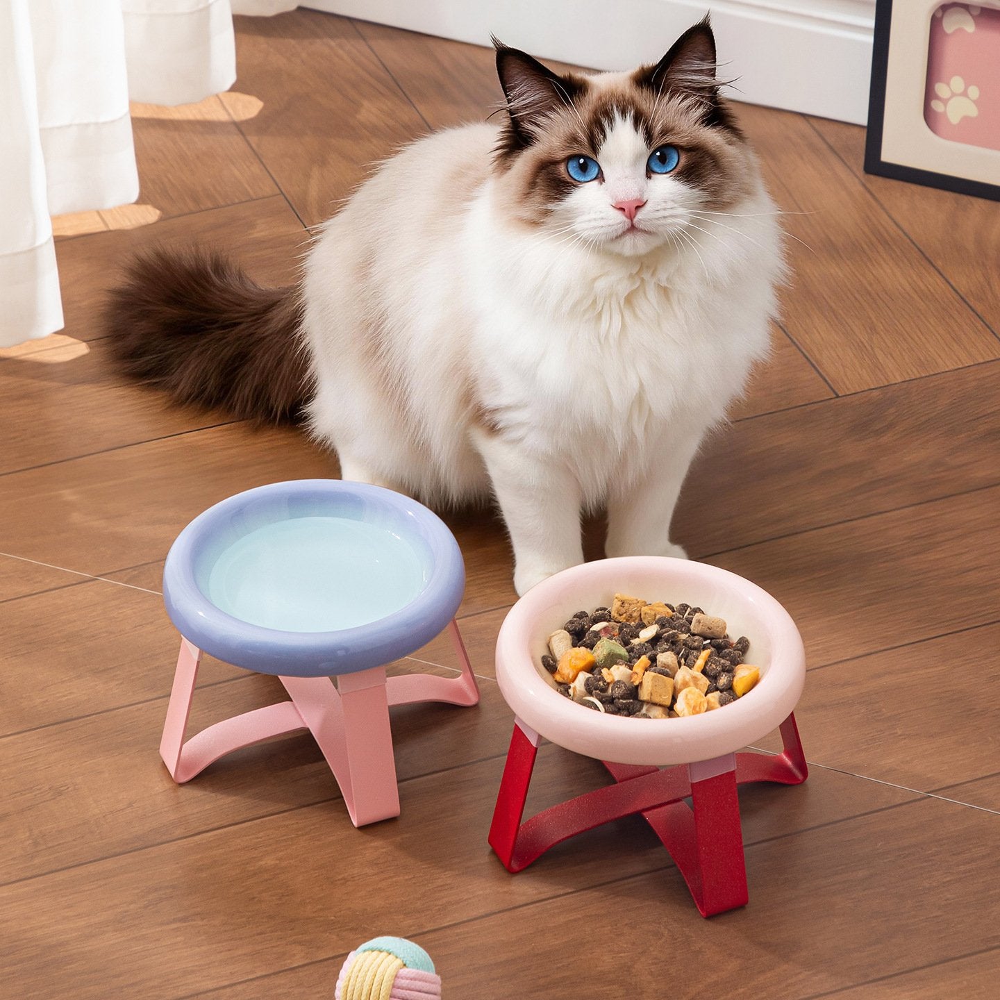 Vibrant Color Pet Bowls - Fun & Stylish Food Dishes