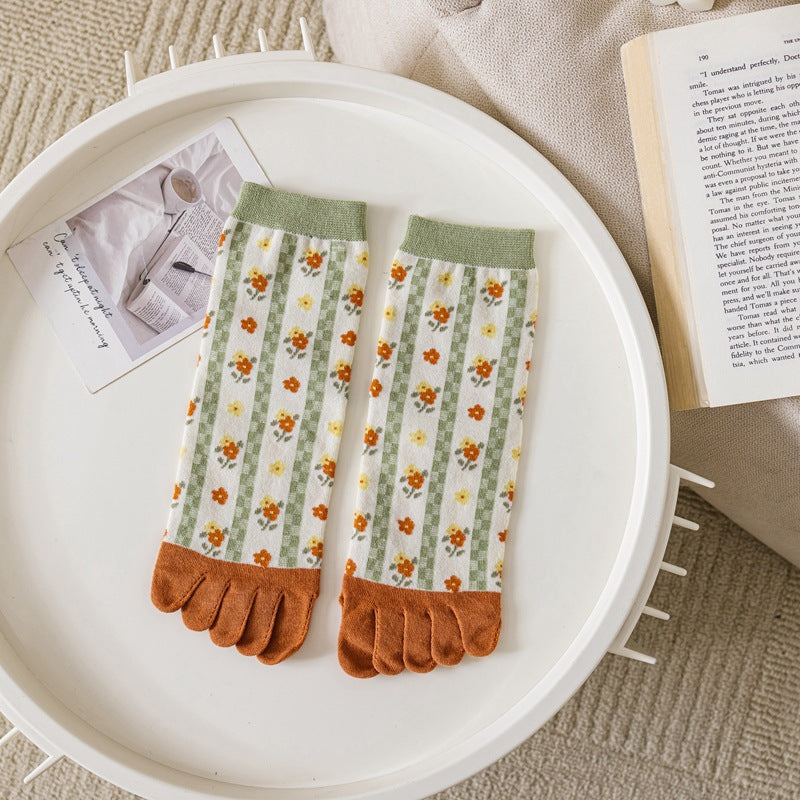 cjv2