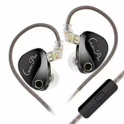 2DD Dynamic In-Ear Monitor Earphones