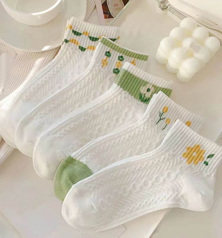 cjv1