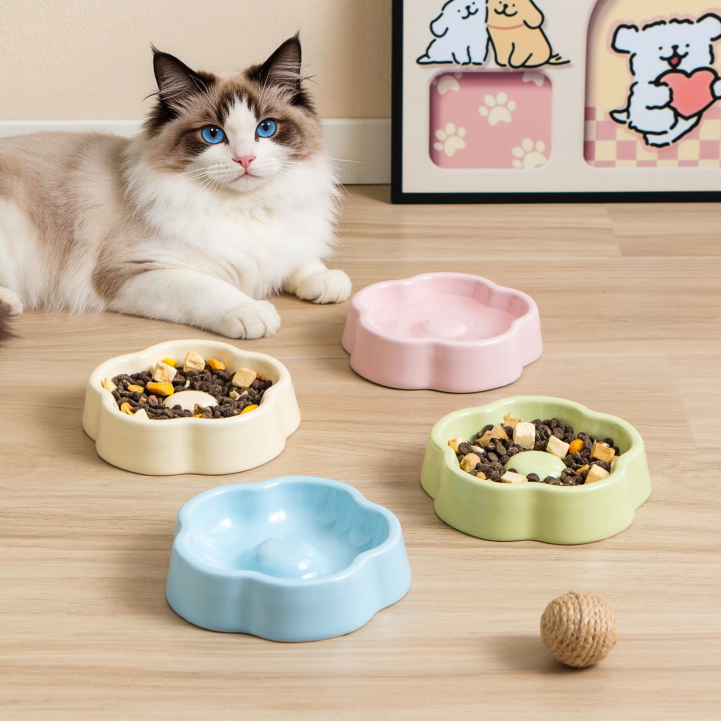 Colorful Pet Bowl