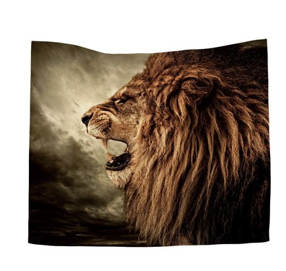 Foreign Trade Home Decoration Wall Hanging Tapestry Ins Net Red Anchor Pattern Background Cloth Direct Sales
