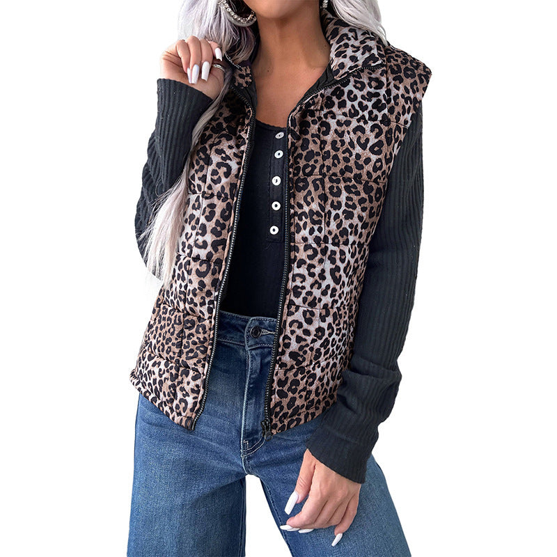cjv0