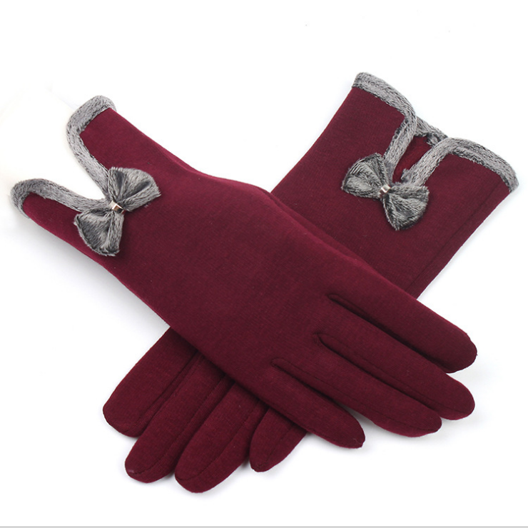 Warm Velvet Cashmere Touch Screen Gloves for Women