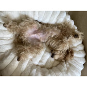 Cozy Round Plush Dog Bed - Soft Polyester Pet Nest For Small To Medium Breeds, Beige Design With Ruffled Edges & Plush Interior, Winter Warmth & Comfort, No Assembly Needed, Ideal For Home Decor, Dog