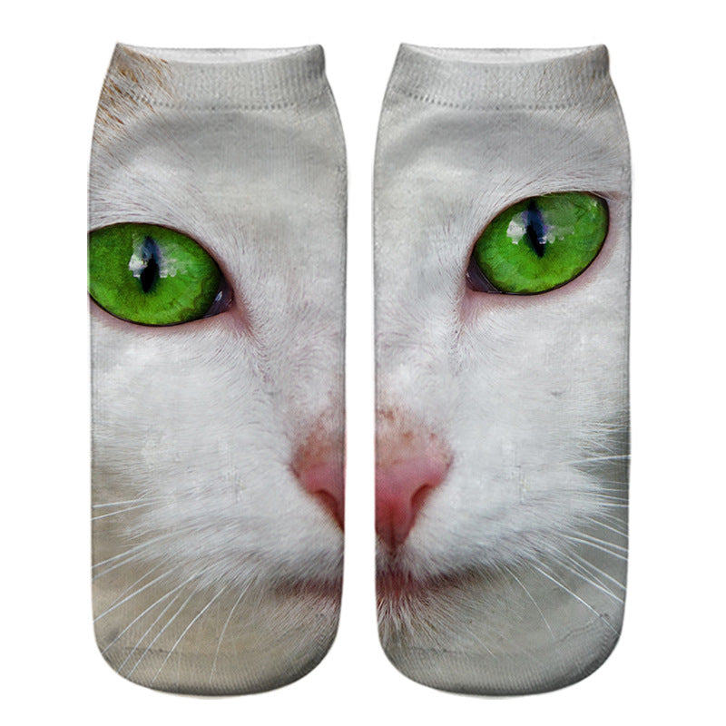 cjv12