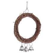 Stylish Bird Swing for Parrots