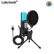 Professional USB Condenser Microphone with Stand and Pop Filter
