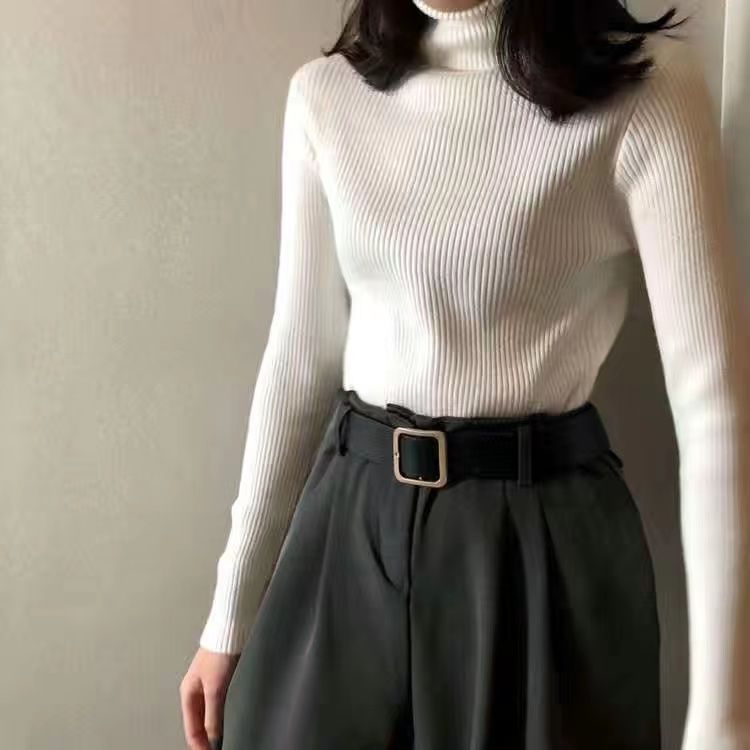 Turtleneck Knitted Sweater for Women Autumnwinter New Arrival