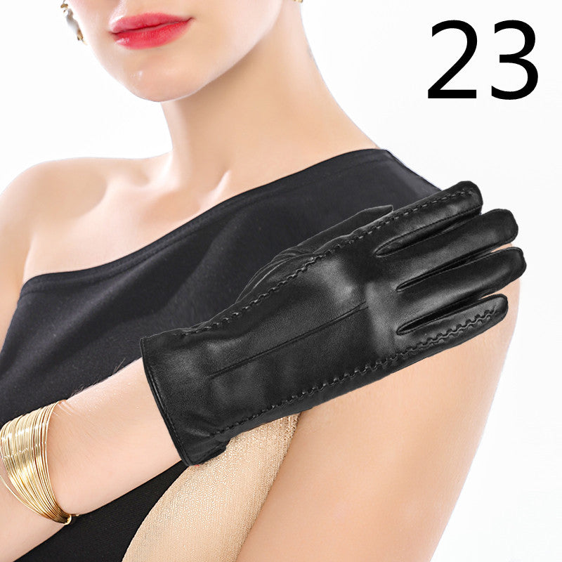 cjv22