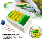 Professional Queen Rearing Kit with Mating Box, High‑Density Foam Hive and Four Frames, Grafting Tools and Queen Marking Bottle