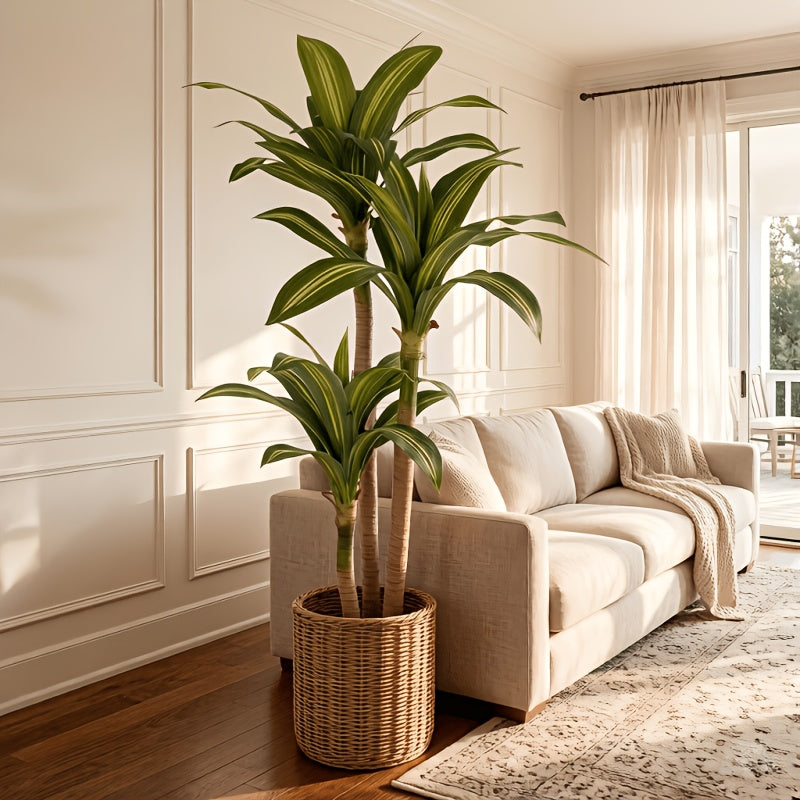 Artificial dracaena tree in white planter, 3-stalk design
