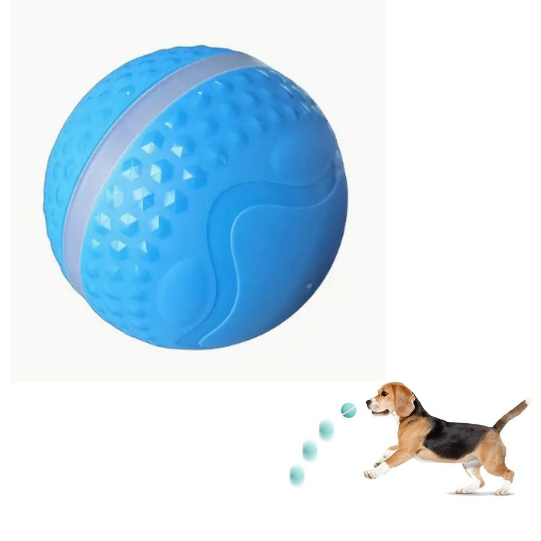 Interactive Dog & Cat Toy - Engaging Playtime