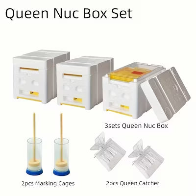 Three‑piece mini nuc box set for queen bee breeding and mating