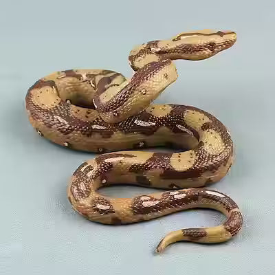 Lifelike Hand-Painted Python Snake Sculpture for Home Décor