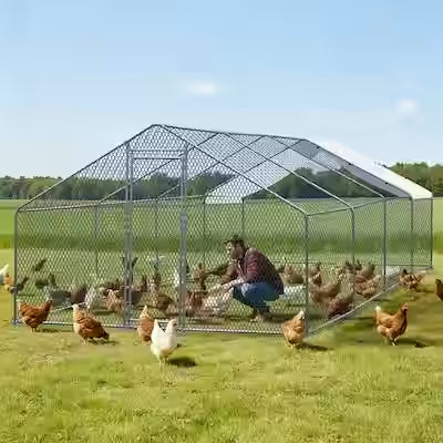 Four-compartment outdoor shelter for chickens and rabbits with arched roof