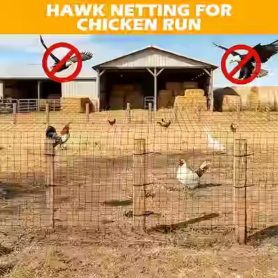 Heavy-duty reusable bird netting mesh for garden and poultry protection