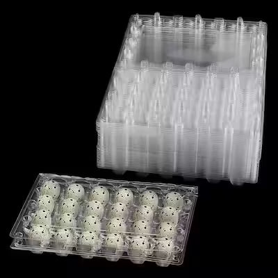 80‑Pack Clear Plastic Quail Egg Cartons – 24‑Cell Grid Trays for Kitchen and Commercial Refrigerators