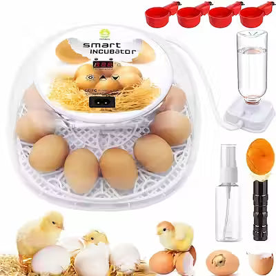 12-egg incubator with automatic egg turner and LED candler