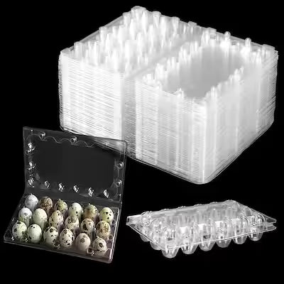 25‑Pack Stackable 18‑Cell Reusable Plastic Quail Egg Boxes with Secure Lids