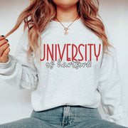 University of Hartford Graphic Sweatshirt