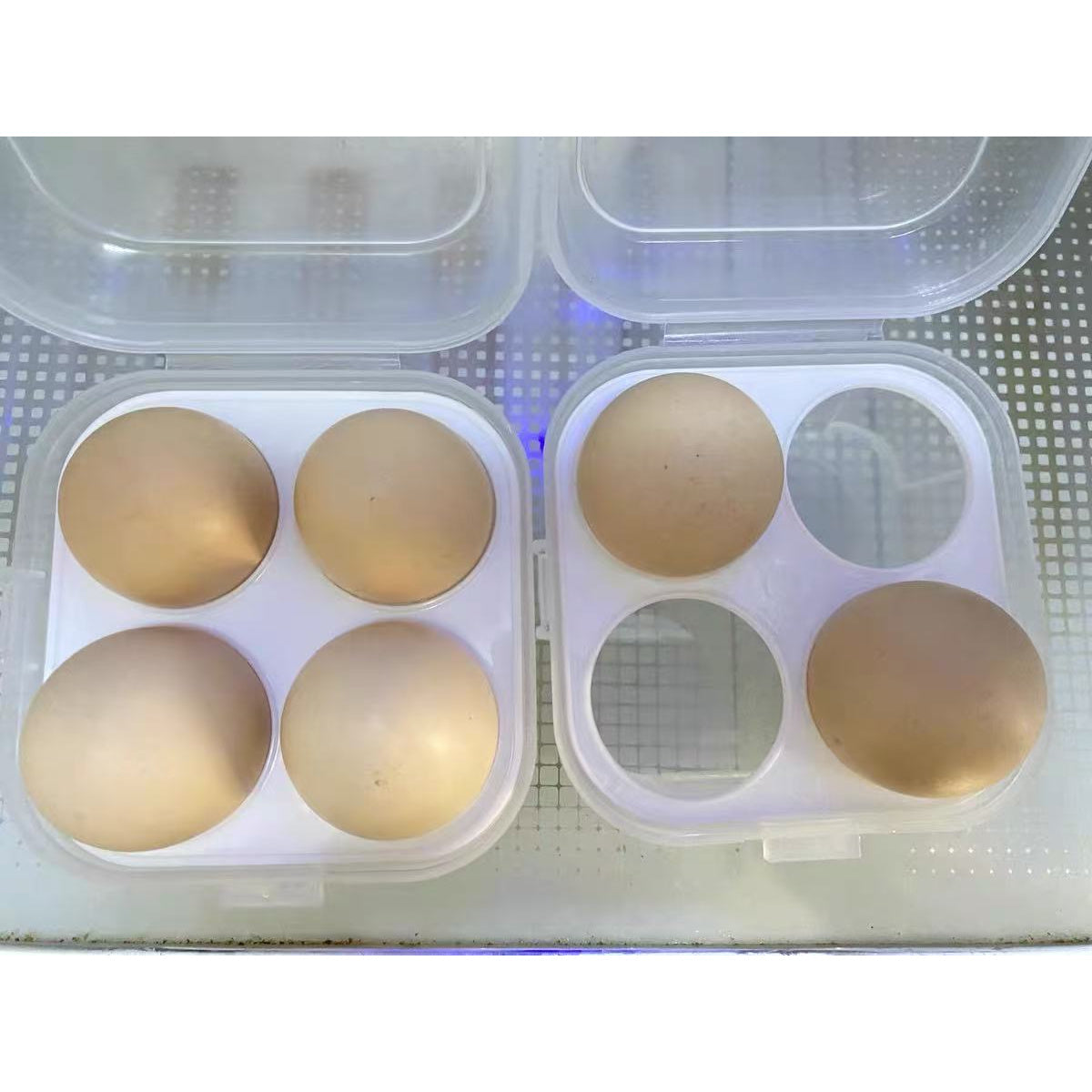White 4‑Layer Egg Rack (30‑Egg Capacity) + Transparent 4‑Compartment Egg Box – Refrigerator Organizer & Portable Egg Carrier