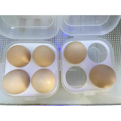 White 4‑Layer Egg Rack (30‑Egg Capacity) + Transparent 4‑Compartment Egg Box – Refrigerator Organizer & Portable Egg Carrier
