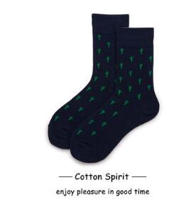 cjv26