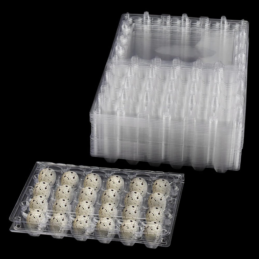 80‑Pack Clear Plastic Quail Egg Cartons – 24‑Cell Grid Trays for Kitchen and Commercial Refrigerators