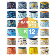 12 Pack Boys' Boxer Briefs in Assorted Colors and Patterns